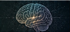 Conceptual brain illustration
